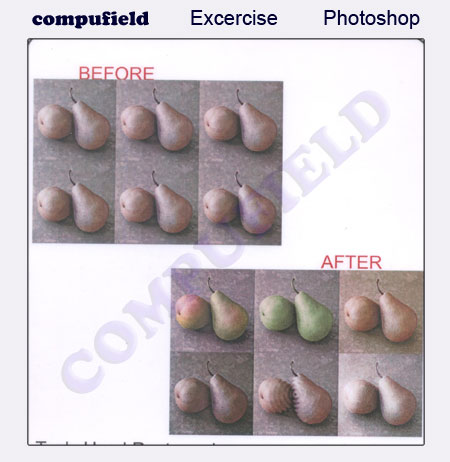 kids_courses_photoshop_computer_institute