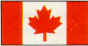 flag.tif (16224 bytes)