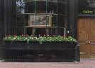 private art gallery of toronto.tif (51024 bytes)