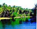 Backwaters of Kerala
